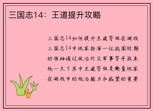 三国志14：王道提升攻略